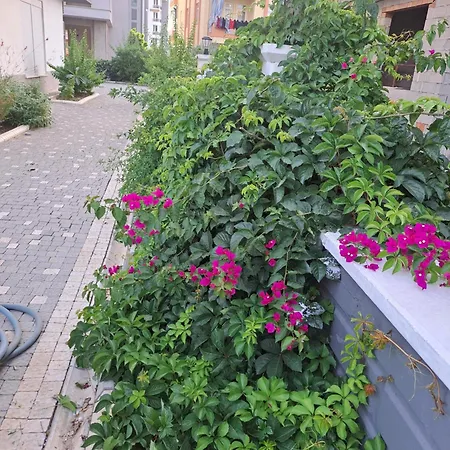 Apartment Akgul Sitesi